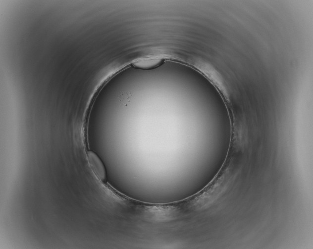 X0000112200805200908071433