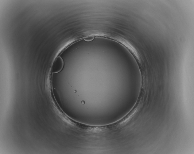 X0000112200806200908071433