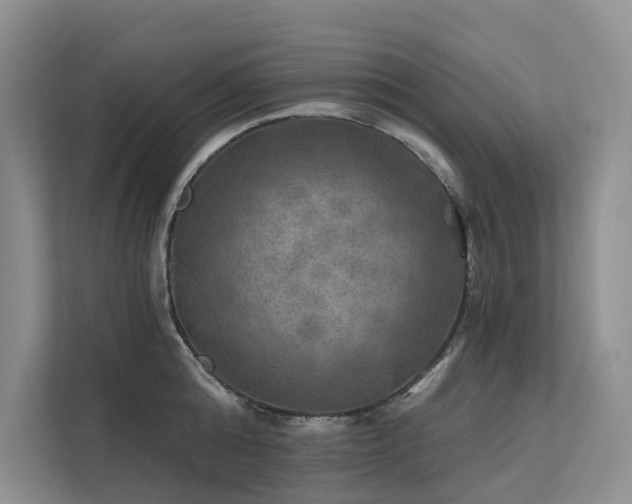 X0000112200808200908071433