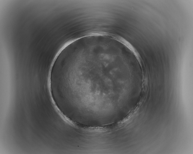 X0000112200811200908071433