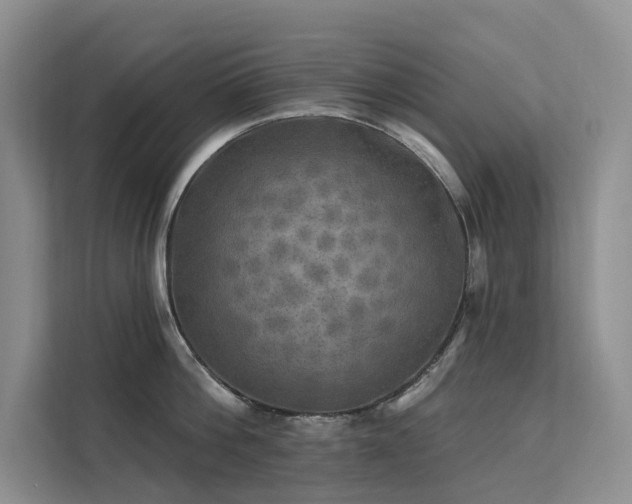 X0000112200812200908071433