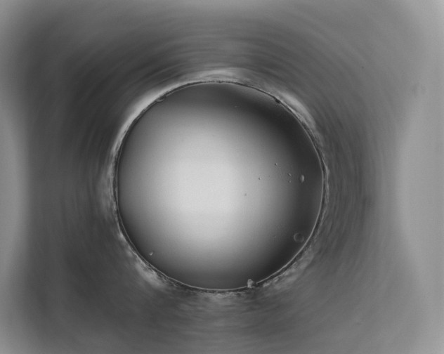 X0000112200816200908071433