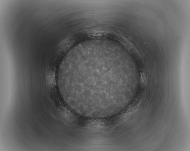 X0000112200820200908071432