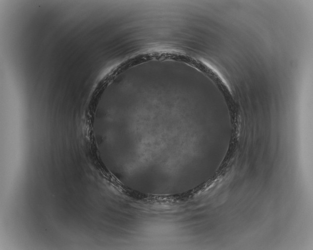 X0000112200823200908071432