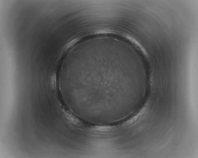 X0000112200825200908071432