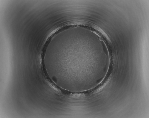 X0000112200826200908071432