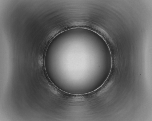 X0000112200833200908071432