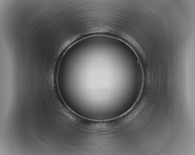 X0000112200834200908071432