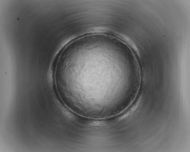 X0000112200835200908071432
