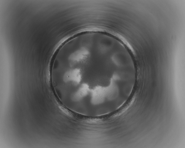 X0000112200837200908071432