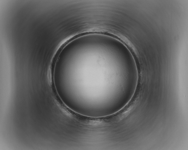 X0000112200838200908071432