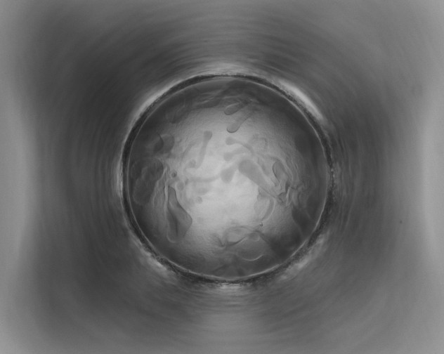 X0000112200839200908071432