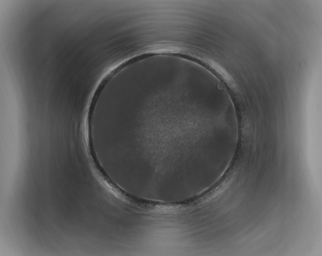 X0000112200840200908071432
