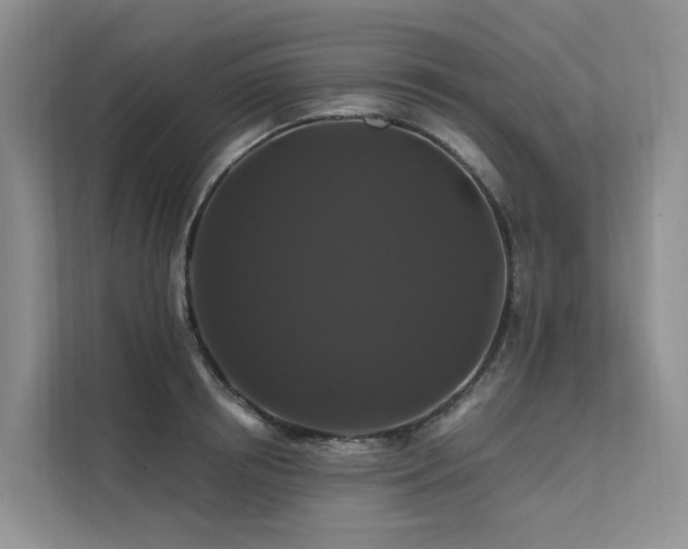 X0000112200850200908071432