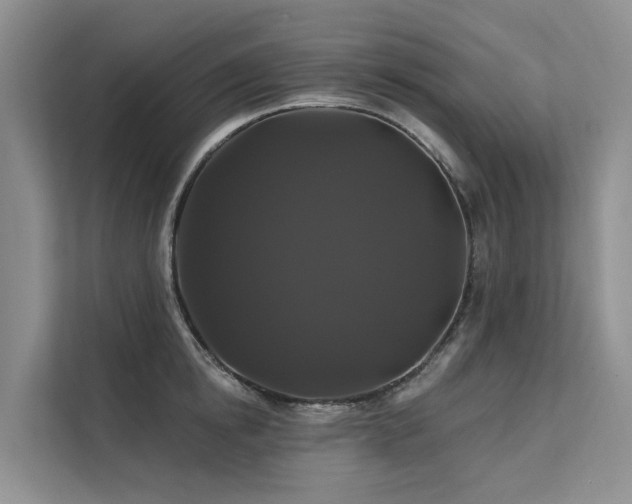 X0000112200854200908071432