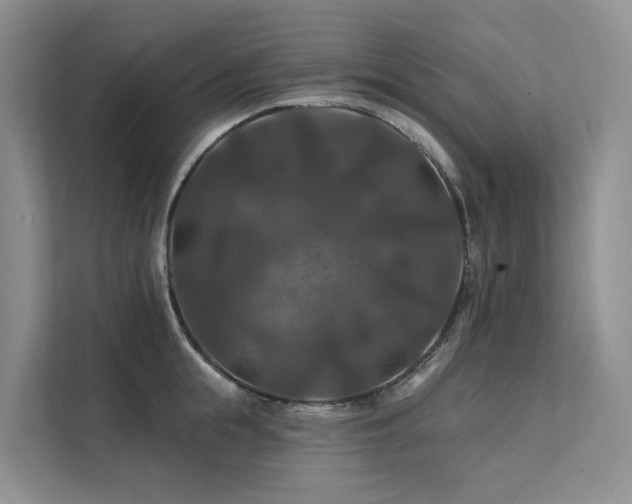 X0000112200855200908071432