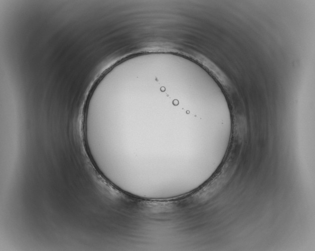 X0000112200856200908071432