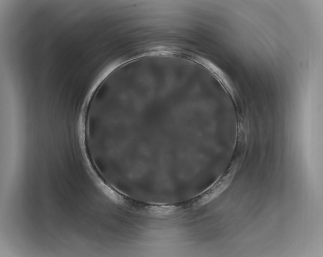 X0000112200859200908071432