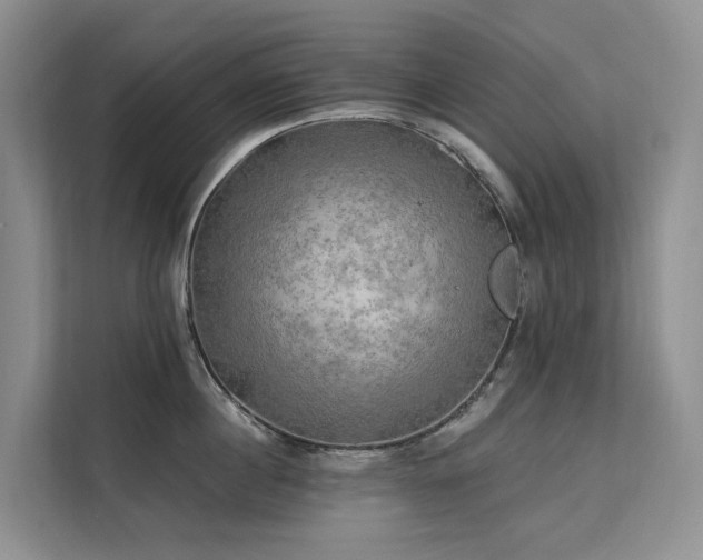 X0000112200860200908071432