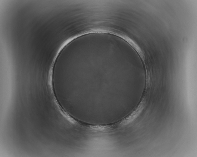 X0000112200862200908071432