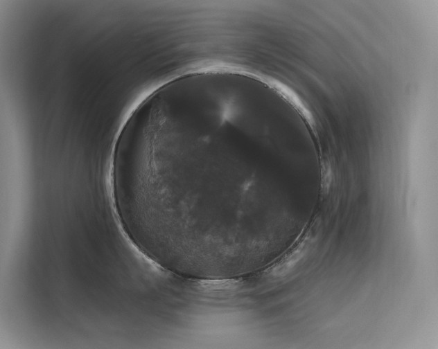 X0000112200863200908071433