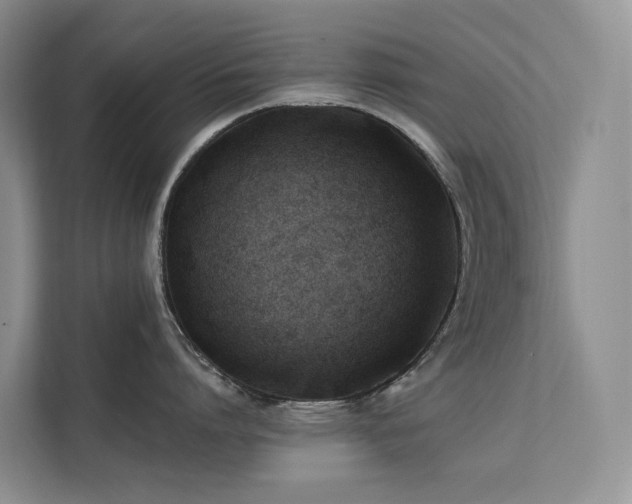 X0000112200864200908071433