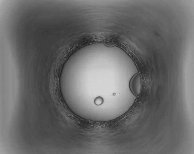 X0000112200865200908071432