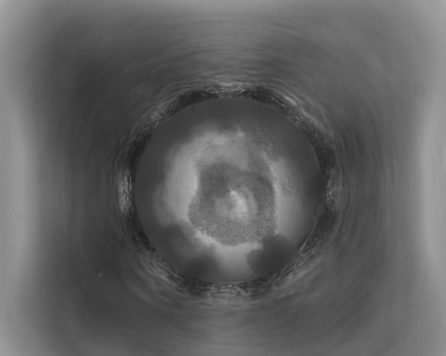 X0000112200866200908071432
