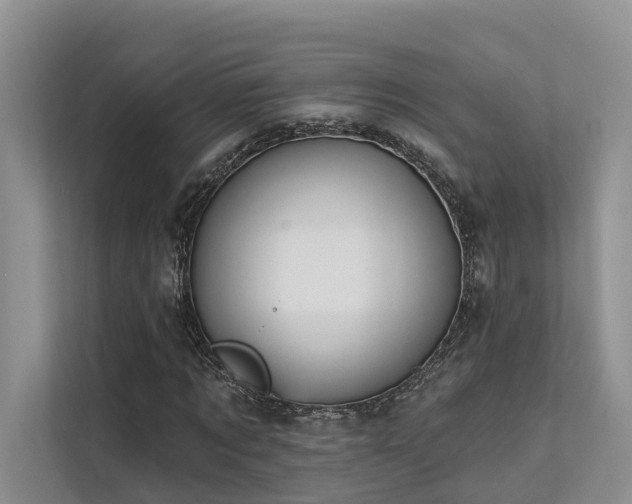 X0000112200869200908071432