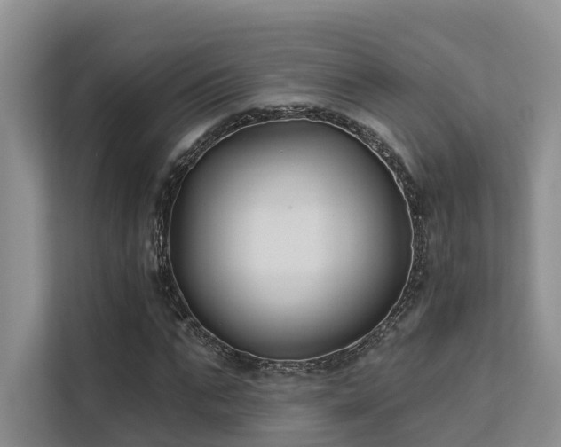 X0000112200871200908071432