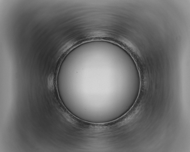 X0000112200873200908071432