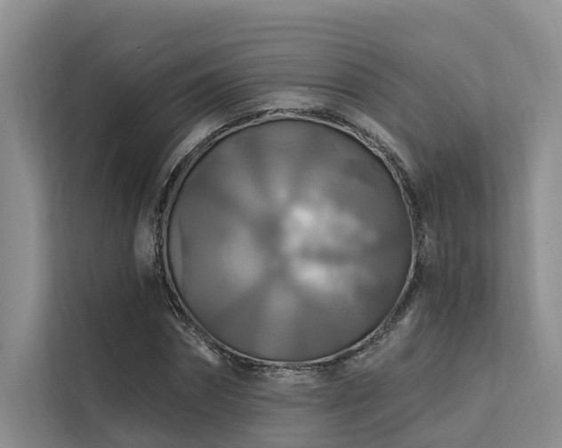 X0000112200874200908071432
