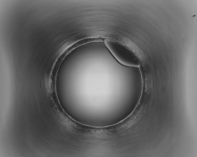 X0000112200876200908071432
