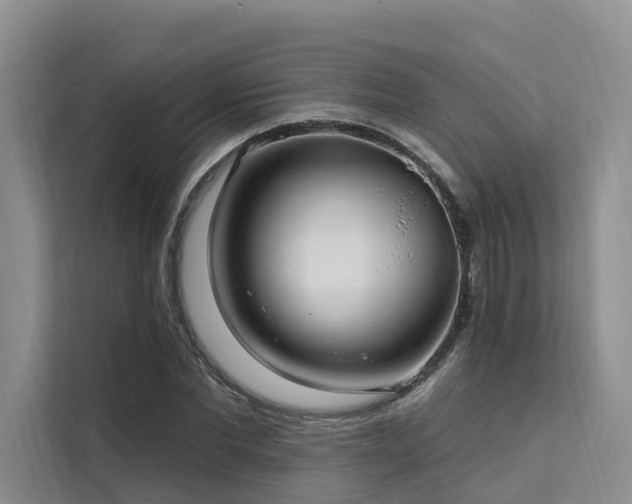 X0000112200877200908071432