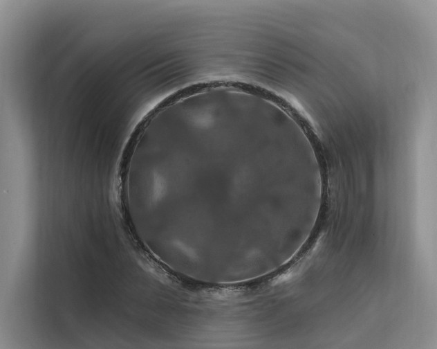 X0000112200879200908071432