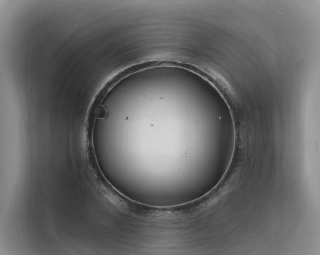 X0000112200880200908071432