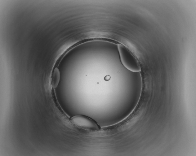 X0000112200885200908071432