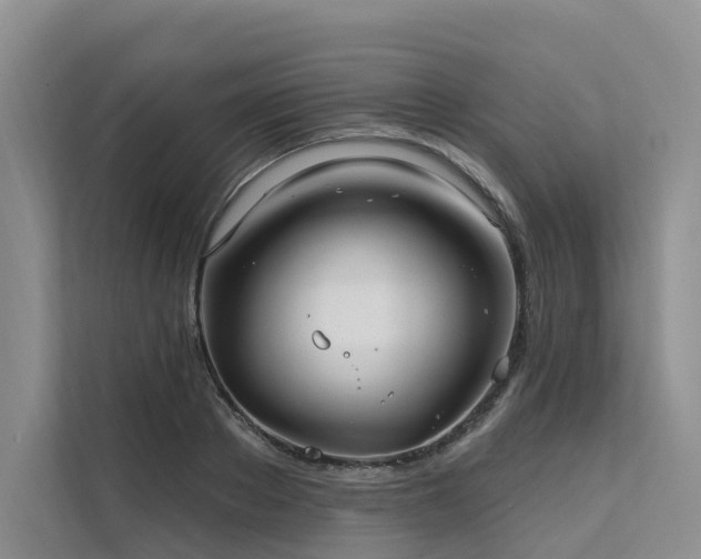 X0000112200889200908071432