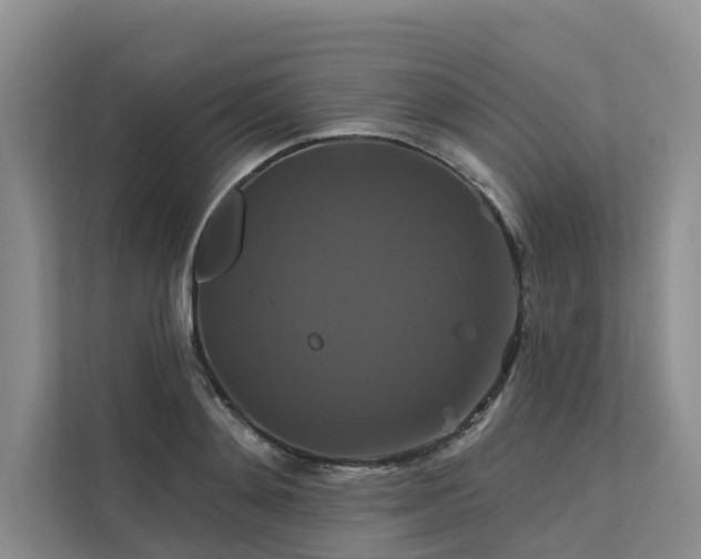 X0000112200892200908071432