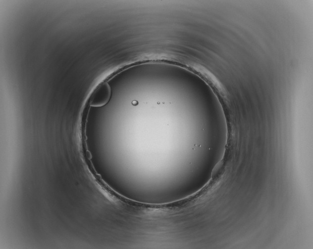 X0000112200894200908071432