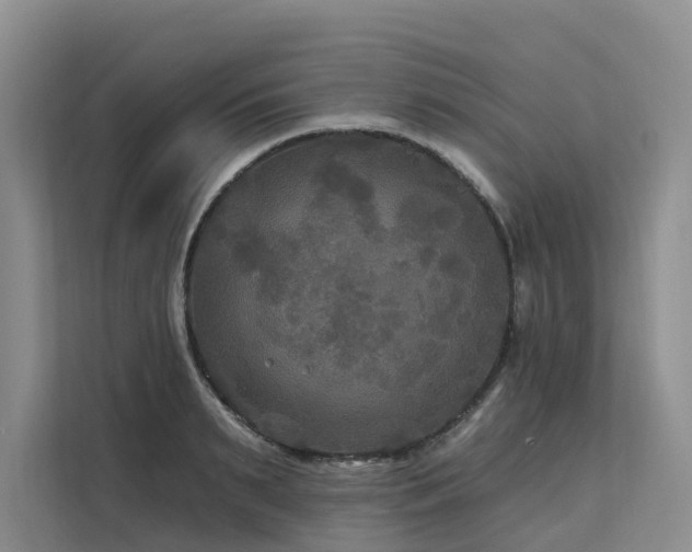 X0000112200895200908071432