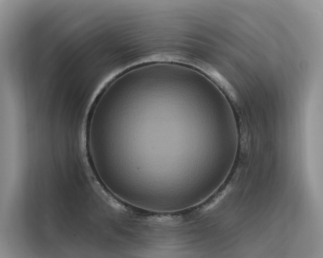 X0000112200896200908071431