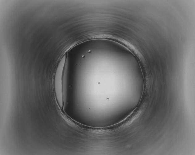 X0000112200897200908071431