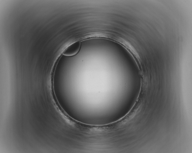 X0000112200898200908071431