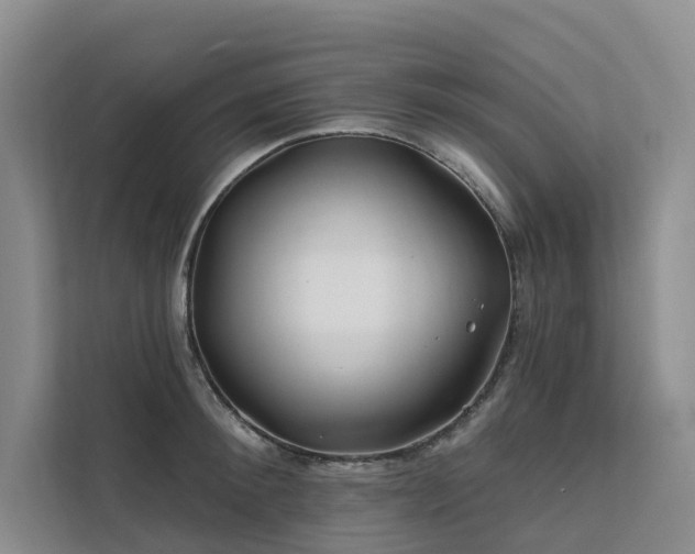 X0000112200900200908071431