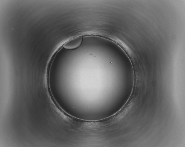 X0000112200902200908071431