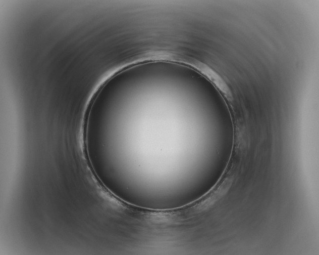 X0000112200904200908071431