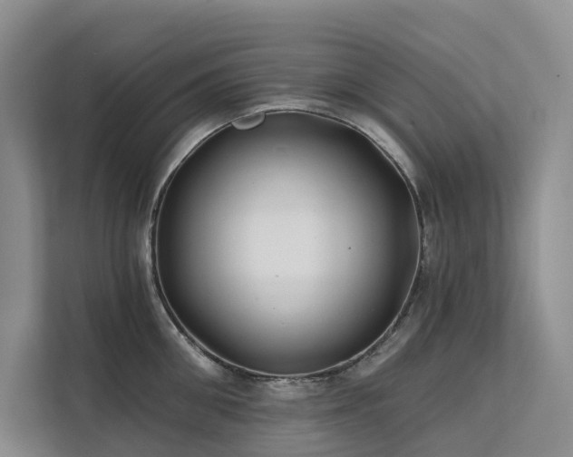 X0000112200906200908071431