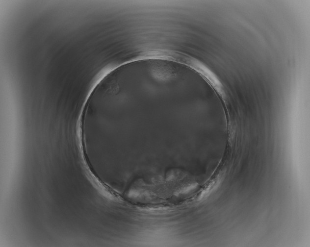 X0000112200907200908071431