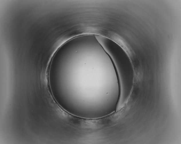 X0000112200908200908071431